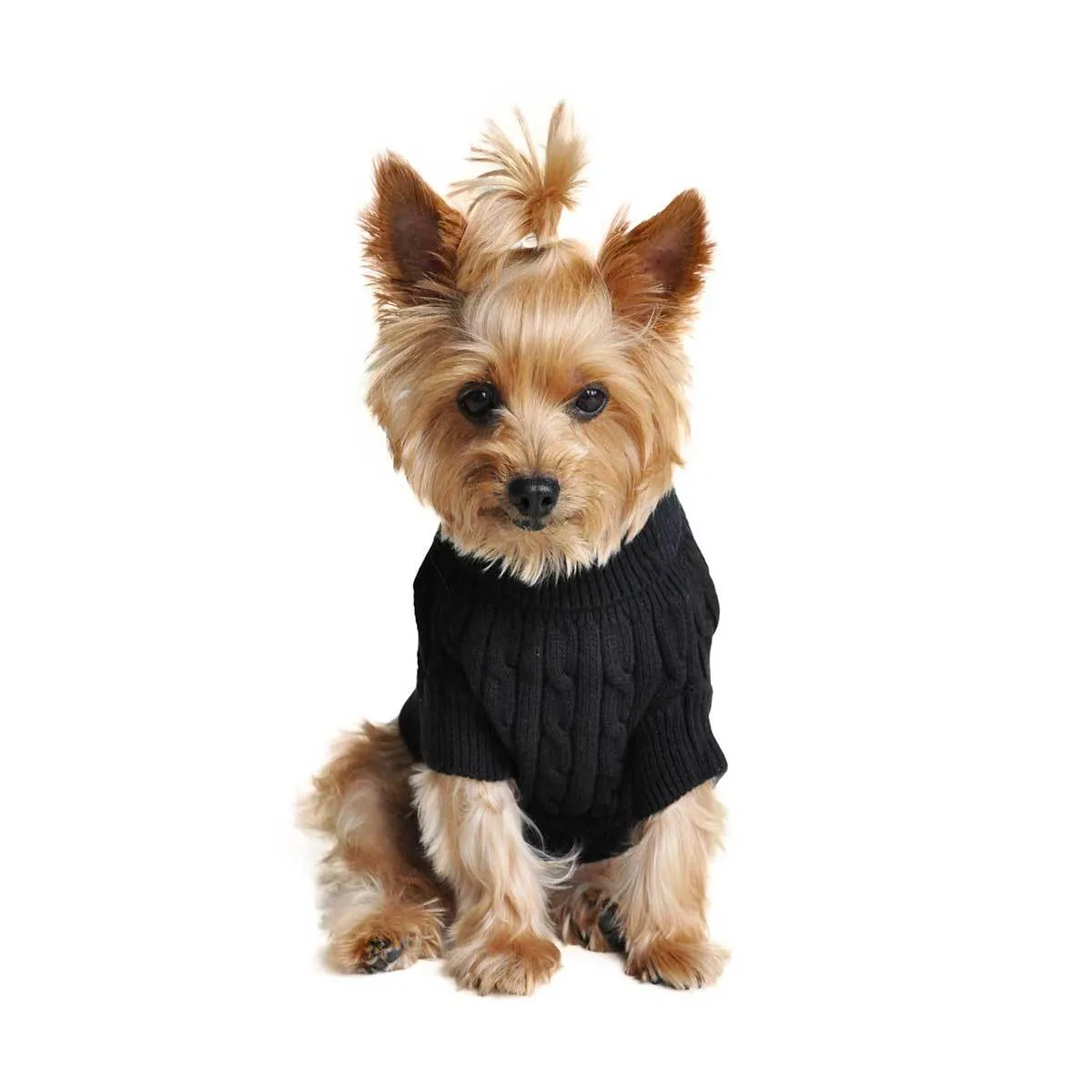 Cable Knit Dog Sweater in Black