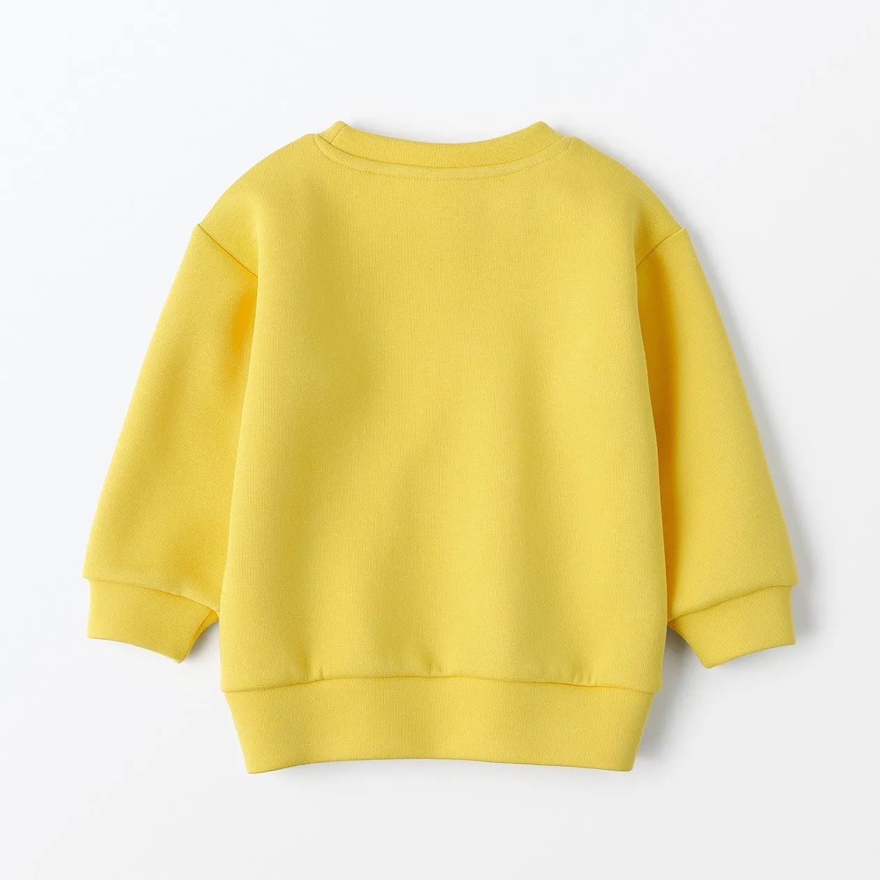 Double Knitted Embroidered Sweatshirt (1-4Y)